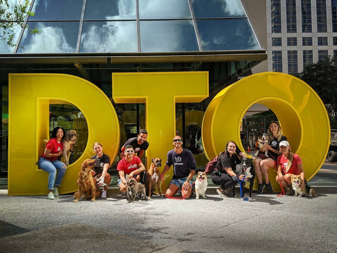 Eola Pets  Downtown Orlando Dog Walking, Pet Setting, & Training